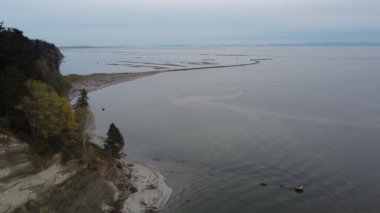 Güneşli bir günbatımında Vancouver yakınlarındaki sulardaki kütüklerin hava görüntüsü.
