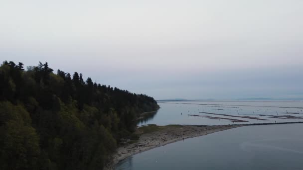 Flyga Över Stockar Vancouver Vatten Solnedgång Vår — Stockvideo