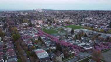 Vancouver 'daki yeşil stadyumun ve küçük evlerin havadan görünüşü