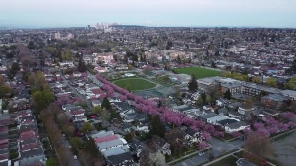 Vista Aérea Del Estadio Verde Pequeñas Casas Vancouver — Vídeo de stock