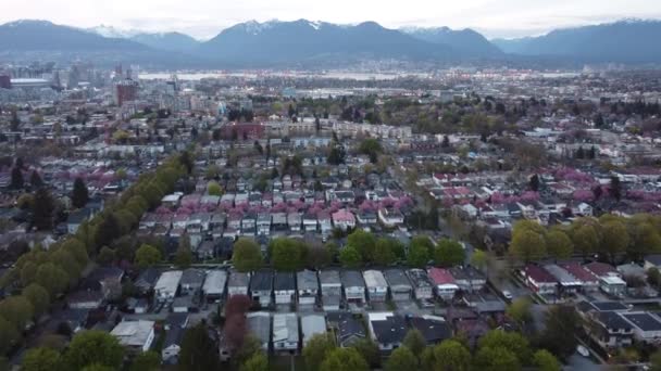 Point Vue Aérien Sur Les Petites Maisons Vancouver Avec Vue — Video