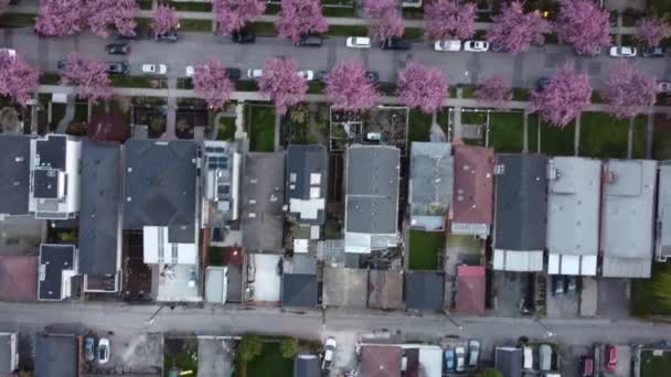 Top Utsikt Över Gator Och Små Hus Vancouver Vårdag — Stockvideo