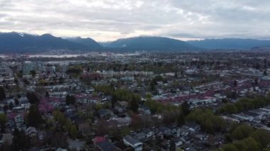 Vancouver 'daki dağlara doğru uç evlerin üzerinden ve baharda kiraz çiçeklerinin üstünden