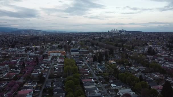 Flygfoto Över Vancouver Distrikt Med Körsbärsblomma Och Gröna Träd — Stockvideo