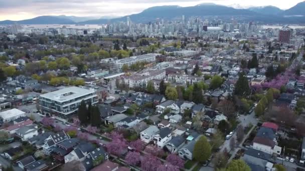 Vue Dessus Quartier Résidentiel Vancouver Avec Centre Ville Les Montagnes — Video