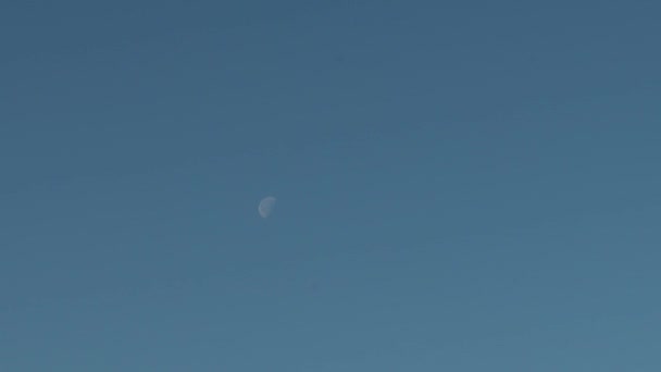 Meia Lua Timelapse Sobre Céu Azul — Vídeo de Stock