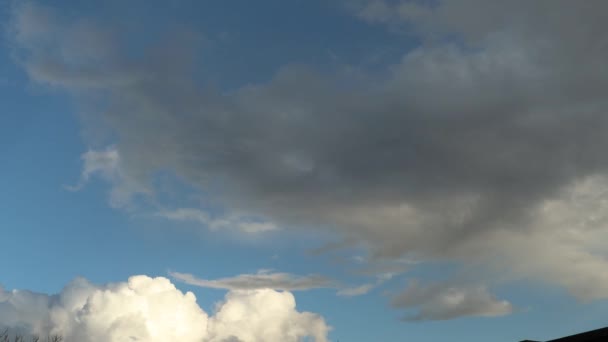 Yapı Hareketleri Bulutlar Kabarık Beyaz Bulutlar Zaman Aşımına Uğruyor Yavaş — Stok video