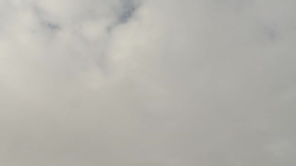 Fehér Cumulonimbus Felhők Timapse Egy Napsütéses Napon Kanadában — Stock videók