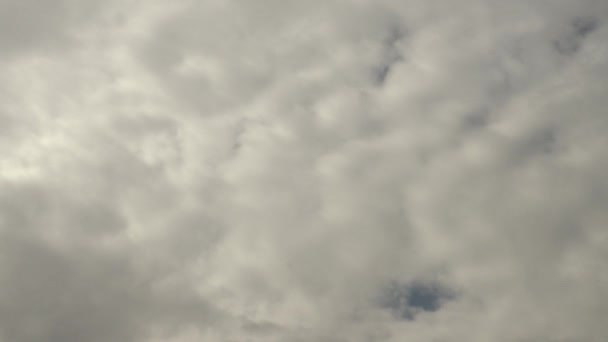 Grueso Blanco Altocumulus Retroiluminado Nubes Timelapse — Vídeo de stock