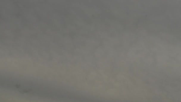 Cirrocumulus Nuvens Brancas Time Lapse Canadá Dia Nublado — Vídeo de Stock
