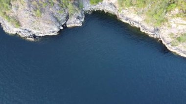 Dağlarda kütükleri ve yeşil ağaçları olan bir nehir kıyısının tepeden görünen manzarası.