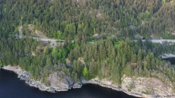 Dron Strzał Szmaragdowego Lasu Pobliżu Górskiego Jeziora Krętej Drogi — Wideo stockowe