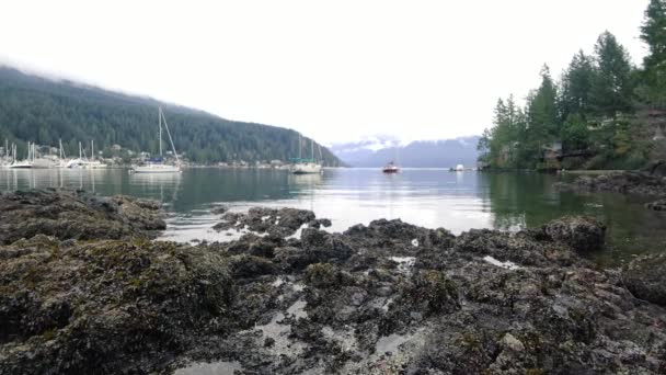 Une Baie Canada Avec Des Collines Des Rochers Environnants Couverts — Video