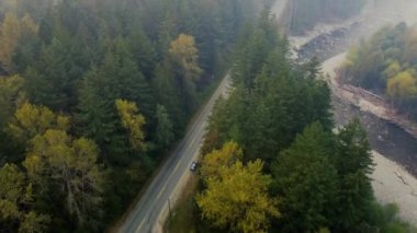 Kanada 'da, ormanın ortasında, nehrin kenarında ıssız bir yol manzarası.