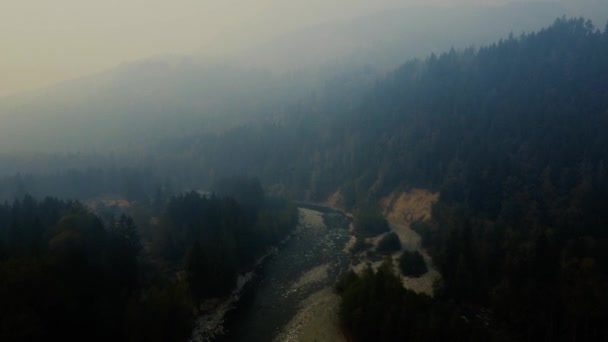 环绕着森林和小河的烟雾弥漫的山谷的空中景观 — 图库视频影像