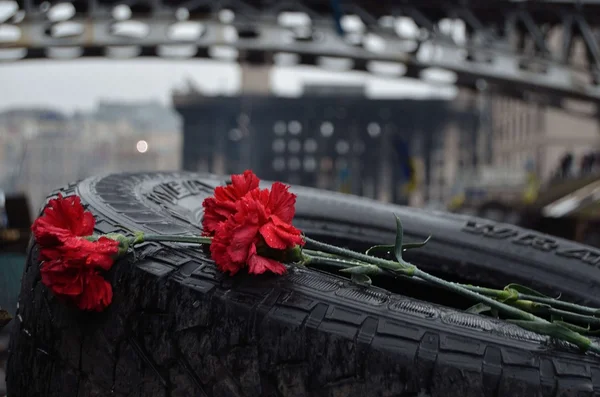 Euromaidan — Stock fotografie