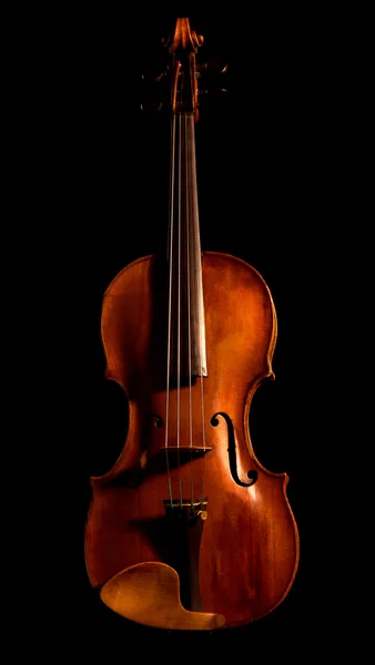 Violin — Stock Photo, Image