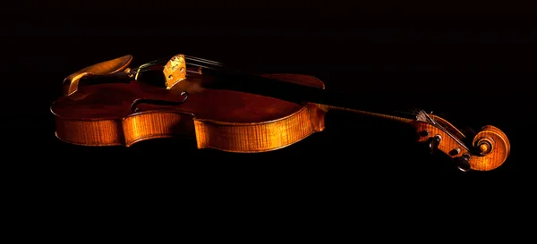 小提琴 免版税图库图片