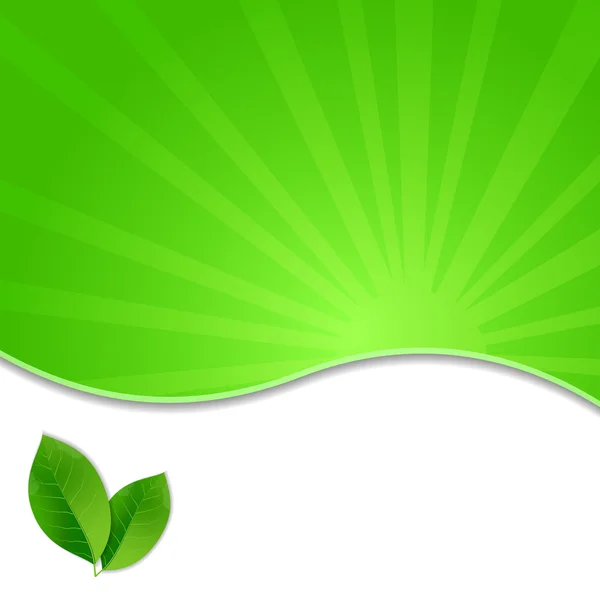 Cartaz de folhas verdes Eco —  Vetores de Stock