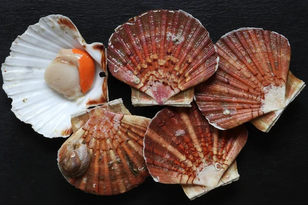 Photograph Several Scallops One Which Open Prepared Slate Food Illustrations — Stockfoto