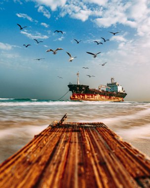 Üzerinde kuşlar olan paslı bir gemi kıyıya yakın.