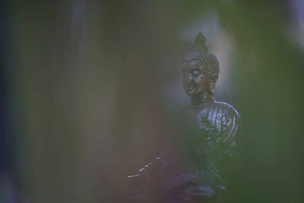 Bouddha Sculpture Laiton Sur Fond Calme — Photo