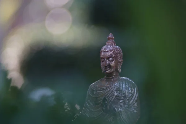 Латунна Скульптура Будда Спокійному Фоні — стокове фото