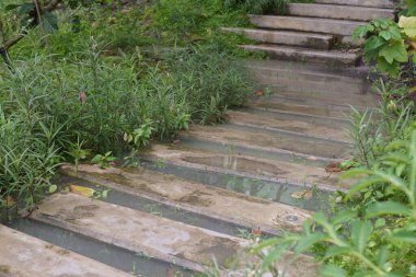 Bahçedeki geçmişteki beton patika 