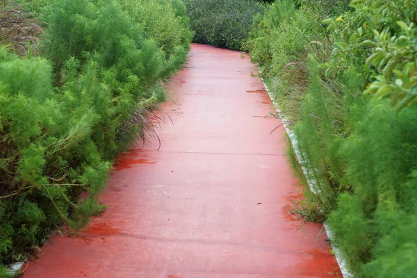 Betonboden Farbe Orange Für Radweg — Stockfoto