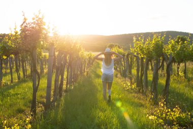 güzel kız şapka üzüm arasında yürüyüş.