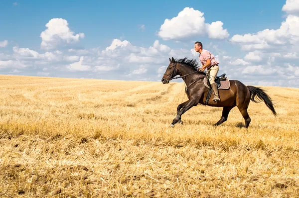 Člověk jezdit koně na poli - svoboda a štěstí — 图库照片