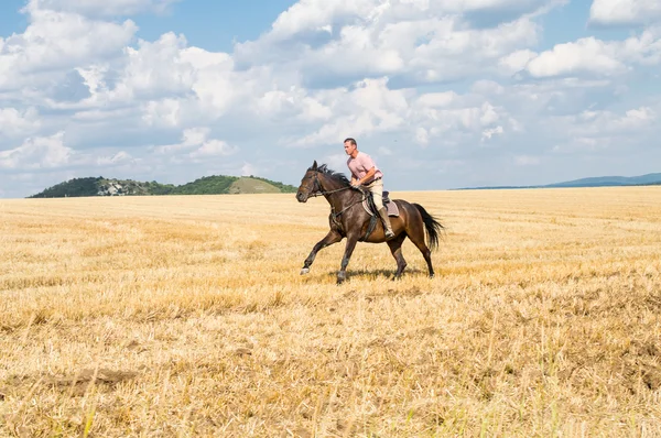 Cheval homme sur le terrain - liberté et bonheur — Photo