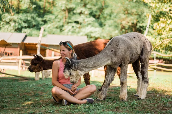 Femme Assise Avec Des Alpagas Ferme — Photo