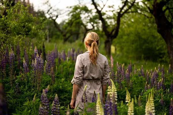 Woman Lupine Field Beautiful Purple Field Czech — Stock Photo, Image