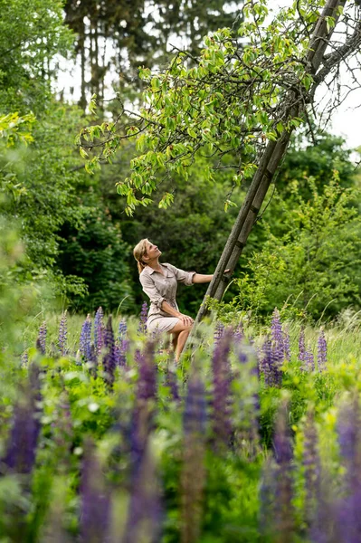 아름다운 꽃밭에서 나무에 사다리를 오르는 — 스톡 사진