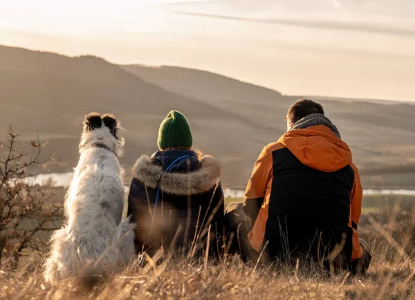 Family Dog Sitting Top Hill — Fotografia de Stock