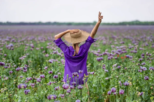 Woman Purple Shirt Purple Poppy Field — Stock Photo, Image