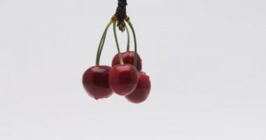 Beyaz arkaplanda dönen olgun kirazlar