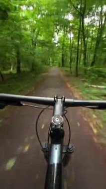 First person Point of view of riding bicycle on green forest in summer day. POV
