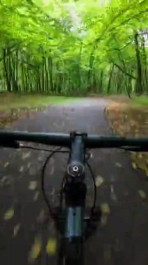 Hyperlapse first person point of view cycling on green forest summer day. POV. 