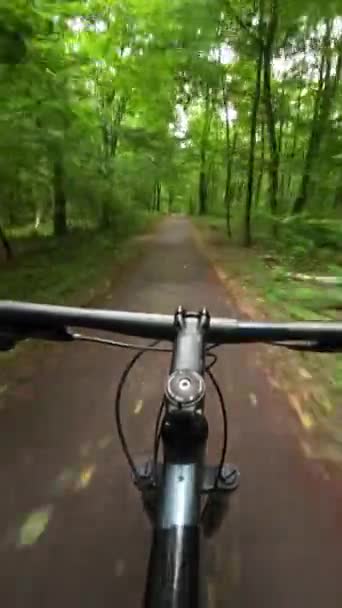 Від Першої Особи Погляд Їзду Велосипеді Зеленому Лісі Літній День — стокове відео