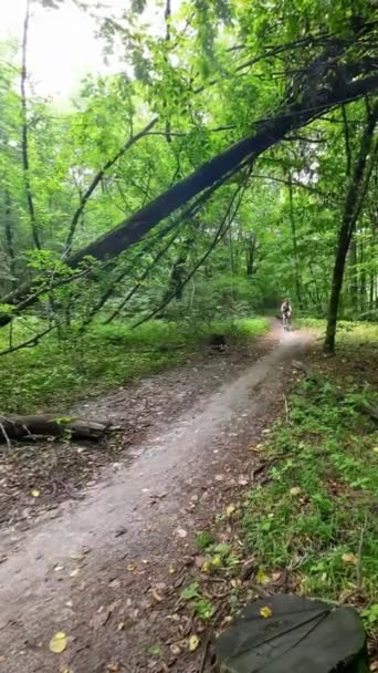 Man Bicycle Passes Fallen Tree Forest — Video Stock