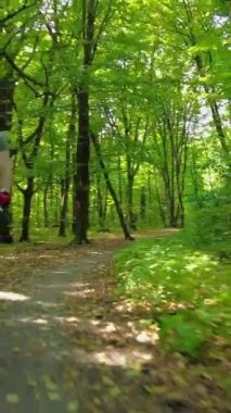 Young man in a bicycle helmet rides a bicycle through the forest. Following Shot 