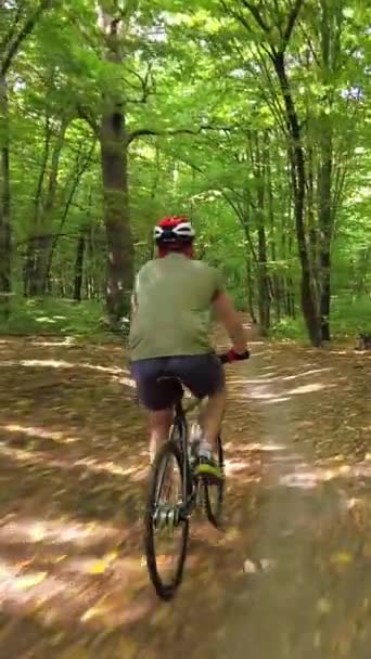 Shot Cyclist Who Ride Green Summer Forest — ストック動画