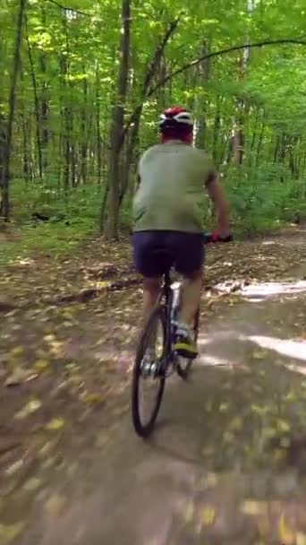 Shot Cyclist Who Ride Green Summer Forest — Video Stock
