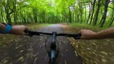 Hyper lapse first person point of view cycling on green forest summer day. POV. 