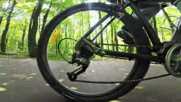 Green Sunny Summer Forest Viewed Rear Wheel Bicycle — Stock video