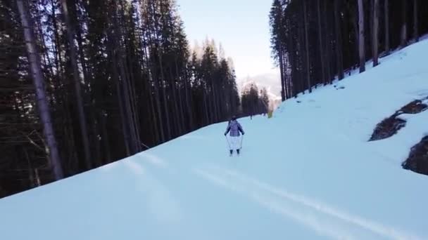 스키를 내려가는 — 비디오