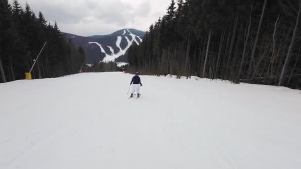여자는 스키를 경치가 아름다운 스키를 내려가기를 즐긴다 — 비디오