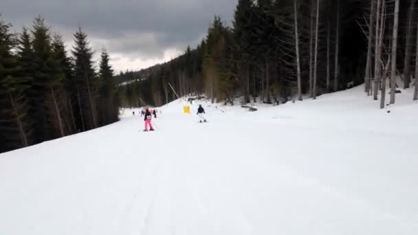 Eine Frau Genießt Den Alpinen Skisport Spurensuche — Stockvideo